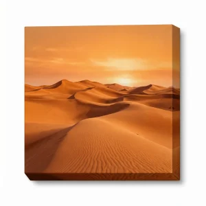 25 x 25